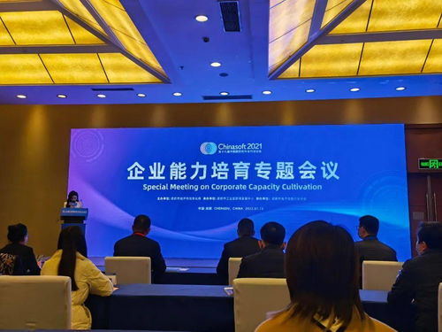 中科大旗榮膺成都市軟件和信息技術(shù)服務(wù)企業(yè)能力成熟度三級證書，彰顯卓越技術(shù)服務(wù)實力