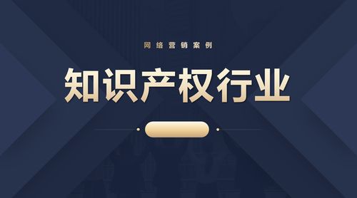 東莞知識產權行業網絡營銷案例 以差異化創新定位驅動科技中介服務