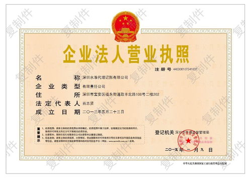 深圳水準(zhǔn)代理記賬 企業(yè)合規(guī)與發(fā)展的專業(yè)伙伴