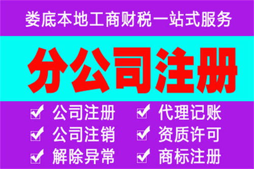 婁星區(qū)分公司注冊與代理記賬服務(wù)的類別解析及優(yōu)惠報(bào)價(jià)